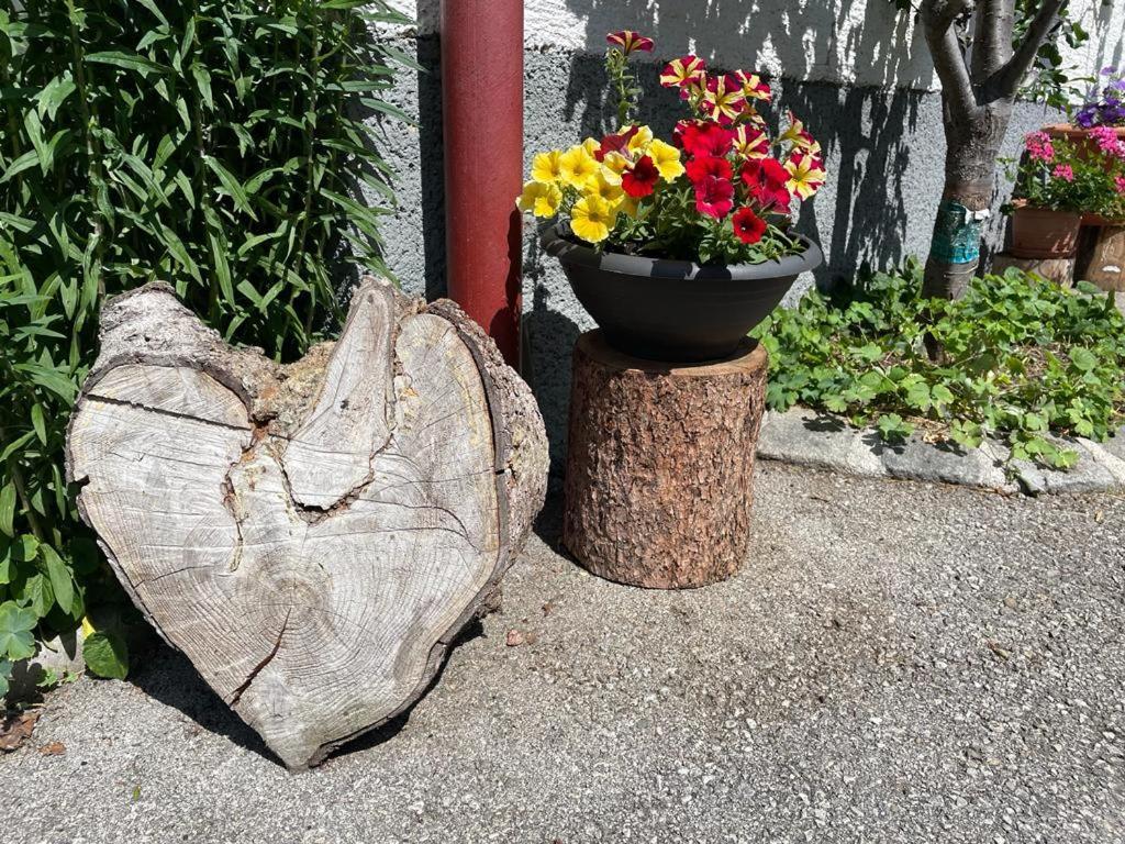 Neudegghof Apartment Eben Im Pongau Luaran gambar