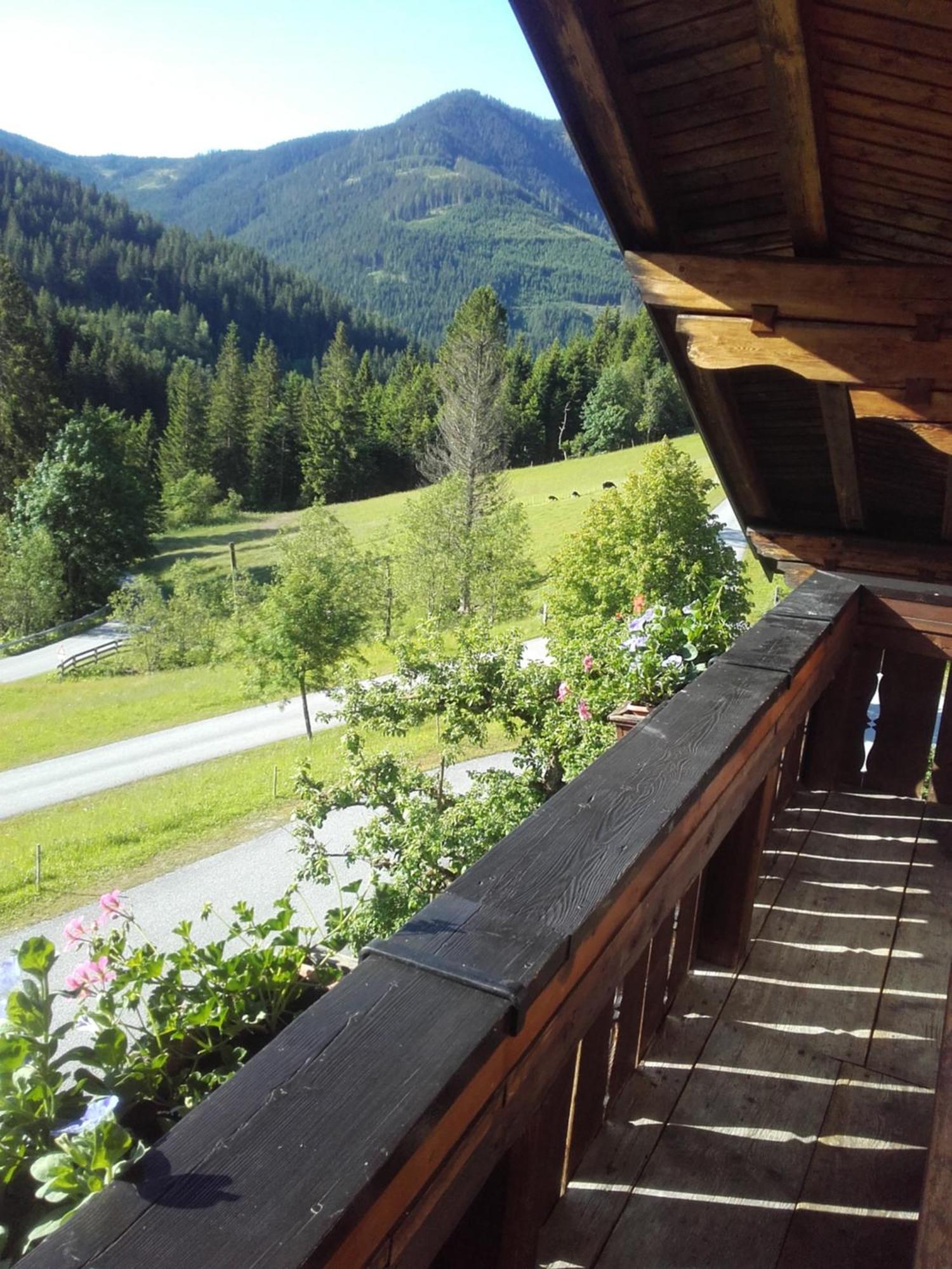 Neudegghof Apartment Eben Im Pongau Bilik gambar